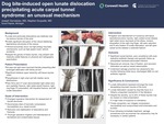 Dog Bite-Induced Open Lunate Dislocation Precipitating Acute Carpal Tunnel Syndrome: An Unusual Mechanism