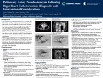 Pulmonary Artery Pseudoaneurysm Following Right Heart Catheterization: Diagnostic and Interventional Considerations