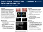 Erector Spinae Plane Block for Refractory Shingles Pain