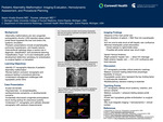Pediatric Abernethy Malformation: Imaging Evaluation, Hemodynamic Assessment, and Procedural Planning