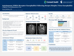 Post-HSV NMDAR Encephalitis: A Case of Biphasic Neuroinflammation
