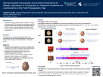Spring Assisted Cranioplasty versus Strip Craniectomy for Metopic Synostosis: A Comparison of Treatment Timelines and Craniometrics in the First Postoperative Year