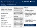 Capnocytophaga Meningitis: A Rare Cause of Bacterial Central Nervous System Infection