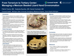 From Terrarium to Tertiary Center: Managing a Mexican Beaded Lizard Hand Envenomation