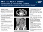 More Than You Can Swallow: Mycotic Aneurysm, An Uncommon Etiology of Dyspepsia by Hussein Bazzy, Katharine Glover, Steven Jones, James Aldridge, Michael Potes, and Katie Sumnicht