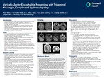 Varicella-Zoster Encephalitis Presenting with Trigeminal Neuralgia, Complicated by Vasculopathy by Amy Ishbia, Kathy Ross, Dillon Yaldo, Jacob Conroy, and Andrea Stoner