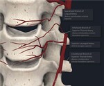 A MSSIC Study Reveals Non- Modifiable Risk Factors Were Associated with Post-Operative Hematoma following ACDF by Richard Easton, Matthew Lipphardt, Matthew Easton, Nicholas Papakonstantinou, Lonni Schultz, Hsueh-Han Yeh, and Cecile Pestano