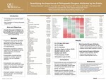 Quantifying the Importance of Orthopaedic Surgeon Attributes by the Public by Rasheed Abdullah, James E. Feng, Phillip Vartanyan, Hassan Alosh, Drew Moore, Leonardo M. Cavinatto, and Betina Hinckel