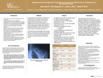 Operative Versus Non-Operative Treatment of Z-Type Clavicle Shaft Fracture in Adolescents: A Retrospective Study by Sami Azeroual, Colin Van Wagoner, Jeffrey Leider, and Ehab Saleh