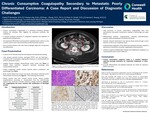 Chronic Consumptive Coagulopathy Secondary to Metastatic Poorly Differentiated Carcinoma: A Case Report and Discussion of Diagnostic Challenges by Casey P. Schukow, Kaylyn Lilly, Ping L. Zhang, Marc D. Smith, and James Z. Huang