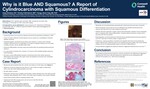 Why Is It Blue and Squamous? A Report of Cylindrocarcinoma With Squamous Differentiation by Casey Schukow, Timothy H. McCalmont, and Hongyu Henry Yang