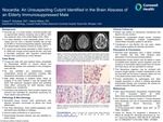 Nocardia: An Unsuspecting Culprit Identified in the Brain Abscess of an Elderly Immunosuppressed Male by Casey P. Schukow and Yelena Wilson